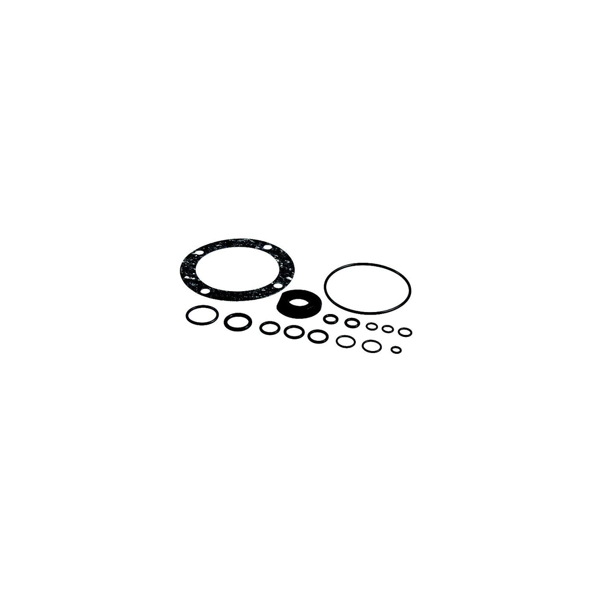 Dometic SeaStar HS5161 Seal Kit | Fits Select Capilano Helm Pumps - HS5161