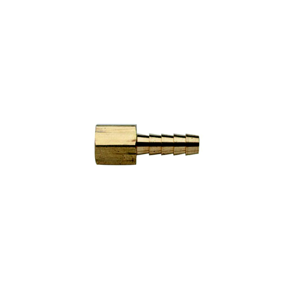 Moeller Barb-Brass Female 1/4X1/4NPT - 033474-10