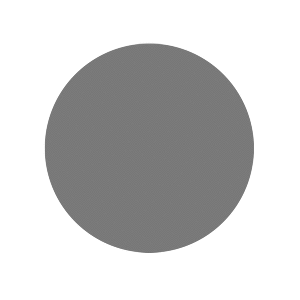 RUPES WETFINISH Foam Abrasive Discs 75mm (3") P3000 Grit - Grey *Box of 20pcs - 9.45TE3000