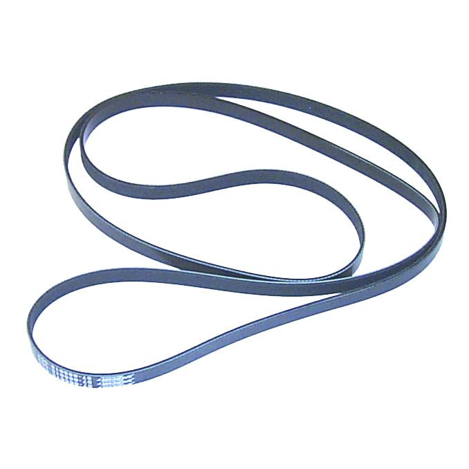 Sierra International Serpentine Belt - 18-15100 - image 1