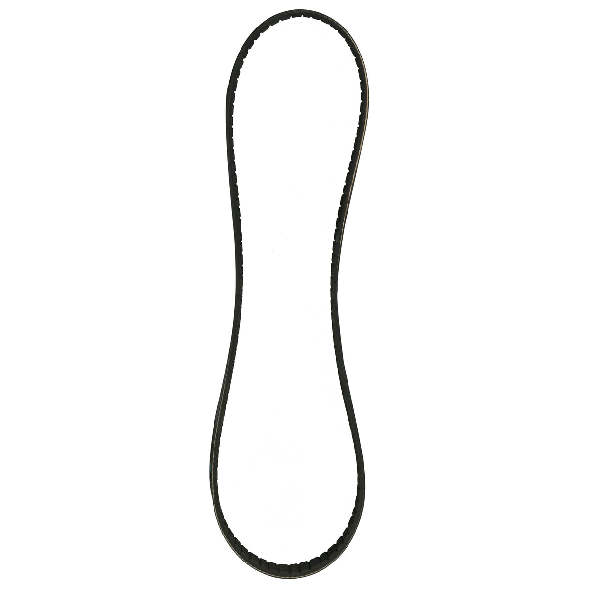 Sierra International Serpentine Belt - 18-15128 - image 1
