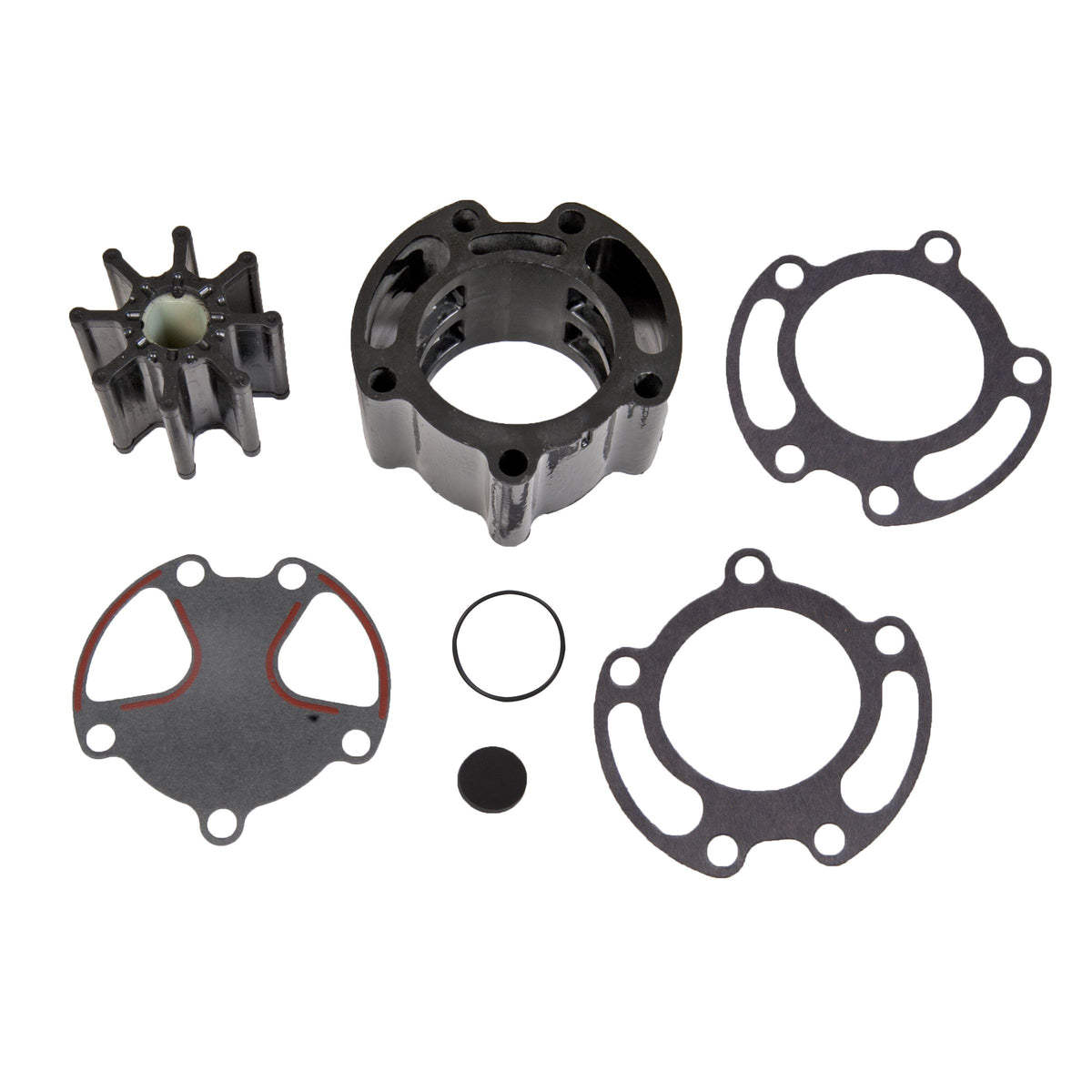Sierra International Water Pump Repair Kit - 18-3155 - image 1