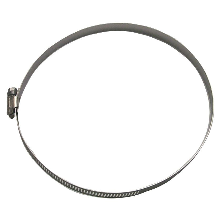 Sierra International Hose Clamp - 18-7317 - image 1