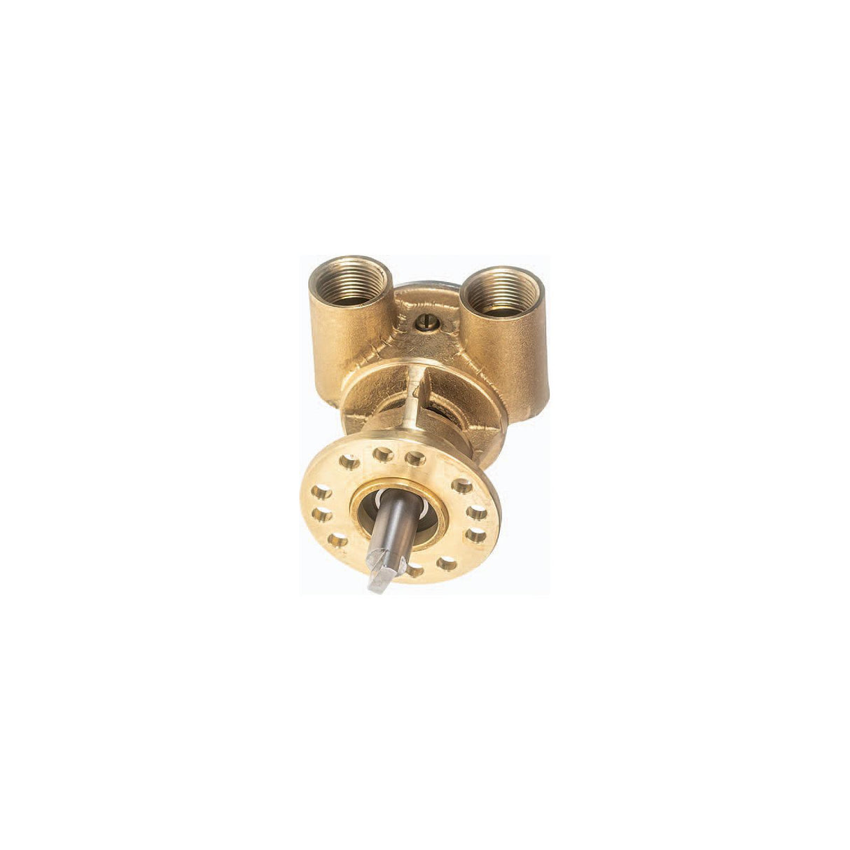 Johnson Pump 102433411 OEM Flexible Impeller Pump for Select Nanni Engines - image 1