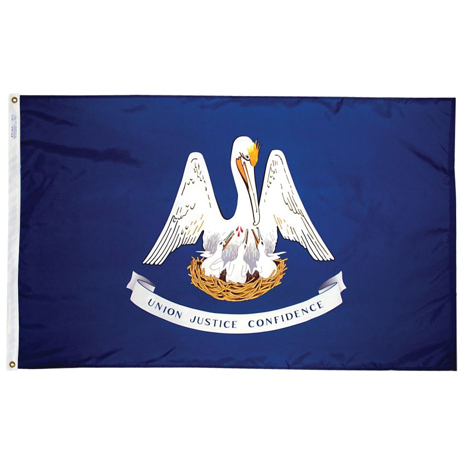 Annin Flagmakers Nylon Design Flag (Louisiana, 24” x 36”) - 142150 - image 1