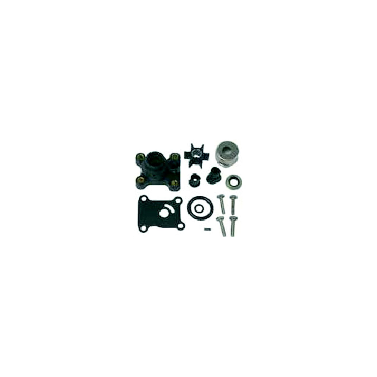 Sierra 18-3327 OMC Wtr Pump Kit With Hsg Marine Engine