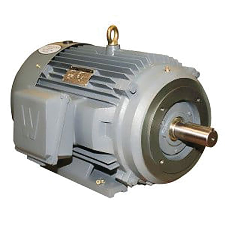 Worldwide Electric Premium Efficiency Severe Duty Motors (7.5 HP, 1800 RPM) - PEWWE7.5-18-213T - image 1