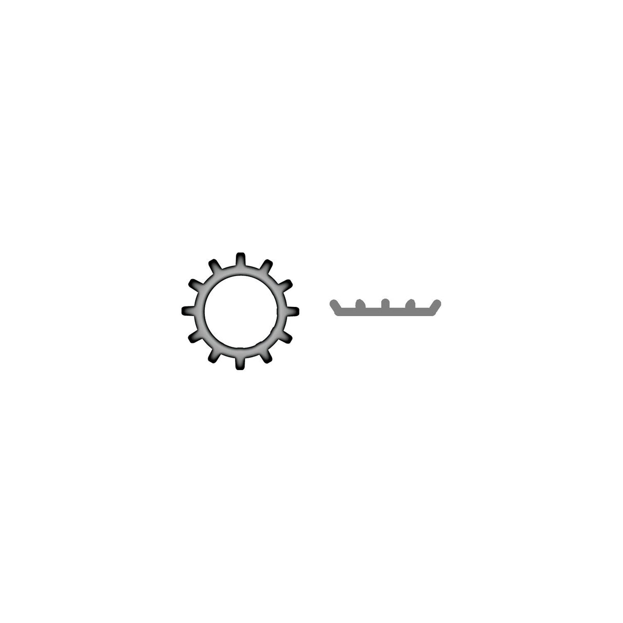 Seachoice Stainless External Tooth Lock Washer #10 - RP-SC1444