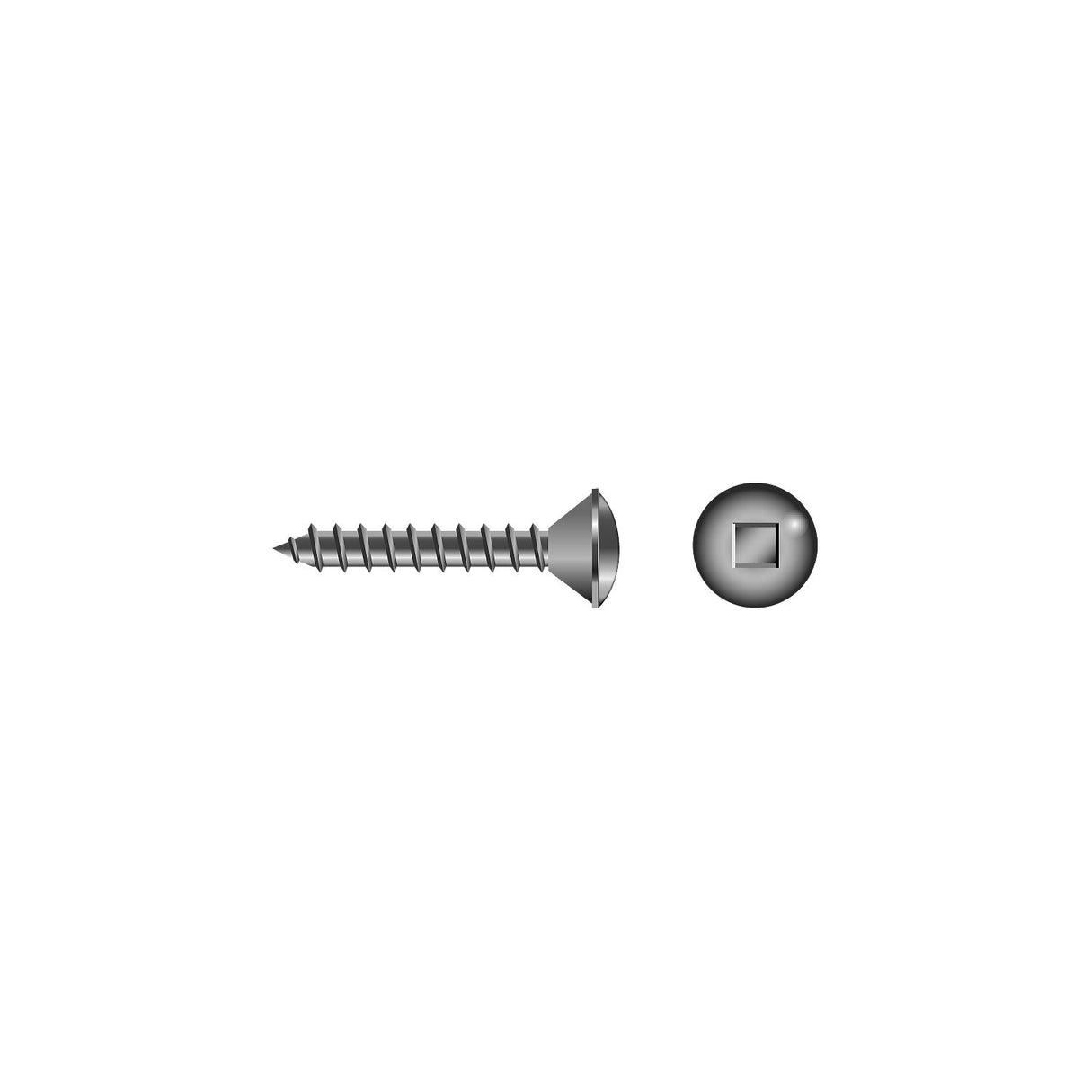 Seachoice Square Tapping Screw - Oval Head #10 x 1" - RP-SC3472