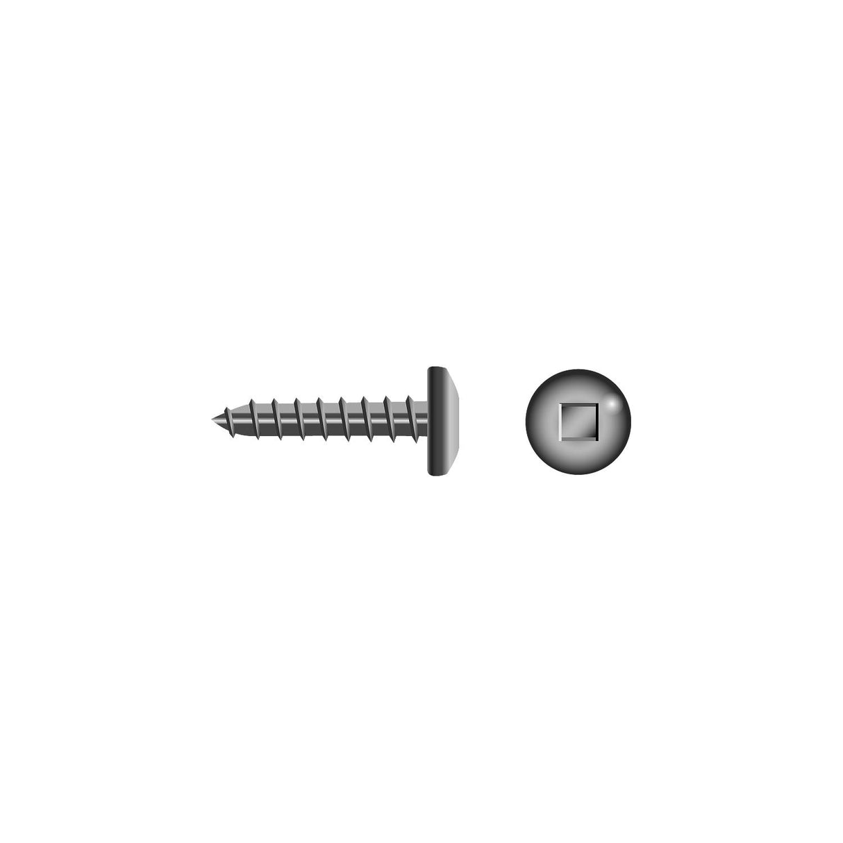 Seachoice Square Tapping Screw - Pan Head, #8 x 1" - RP-SC3662