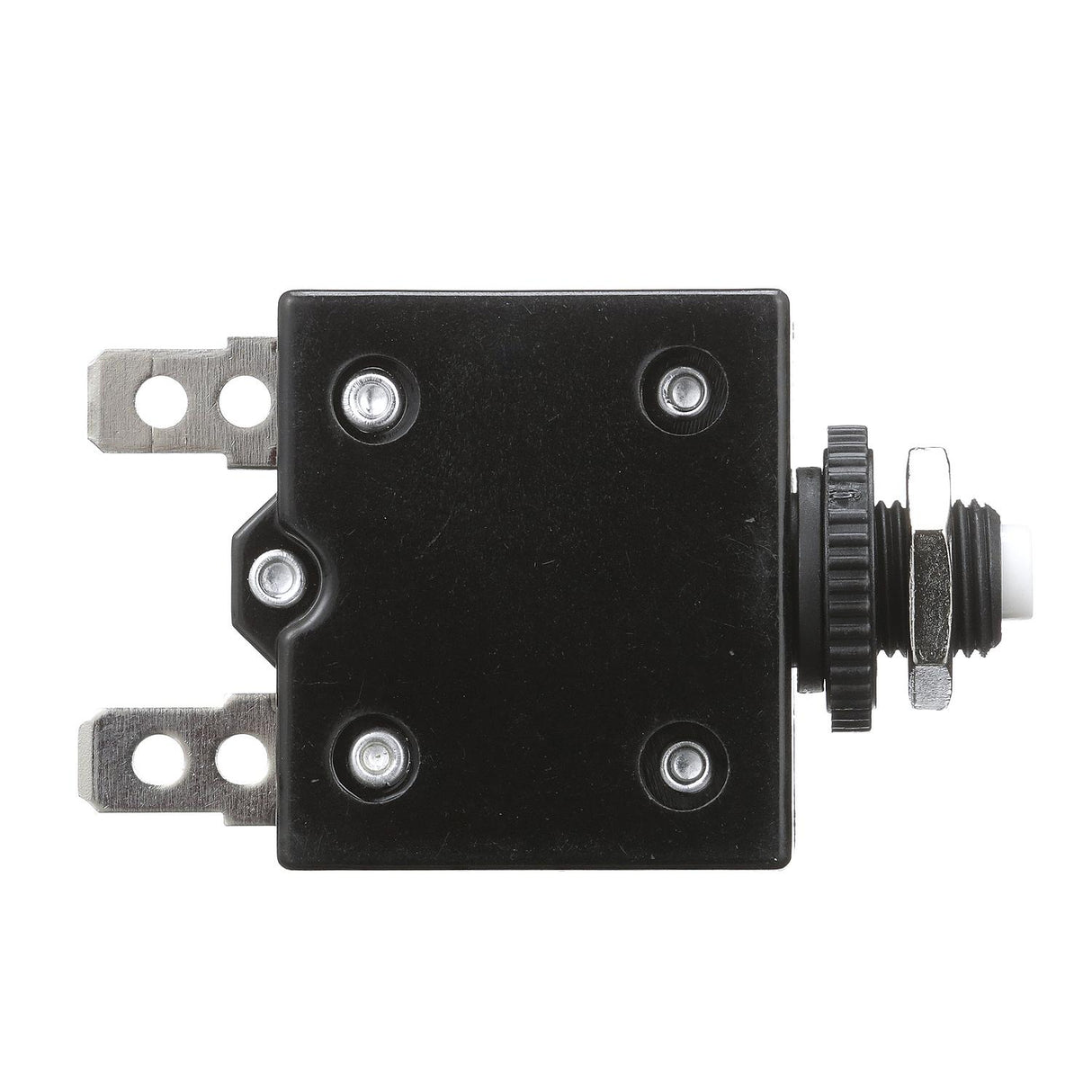 Seachoice Circuit Breaker, Push to Reset, 10 Amp - 13111 - official Seachoice product image 7