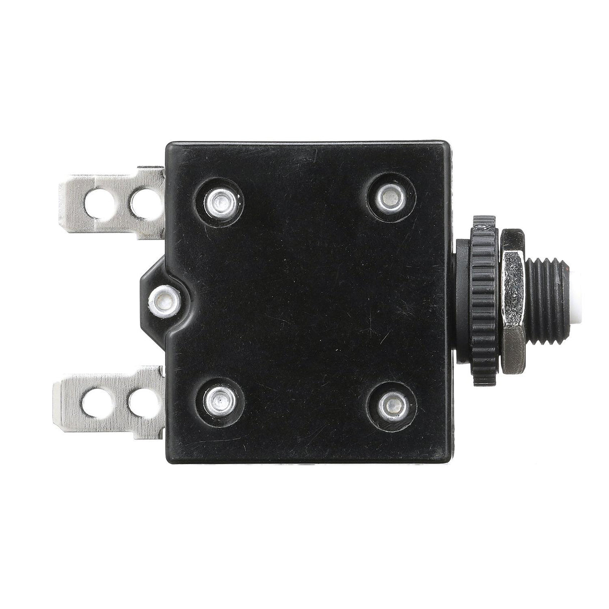 Seachoice Circuit Breaker, Push to Reset, 15 Amp - 13131 - official Seachoice product image 7