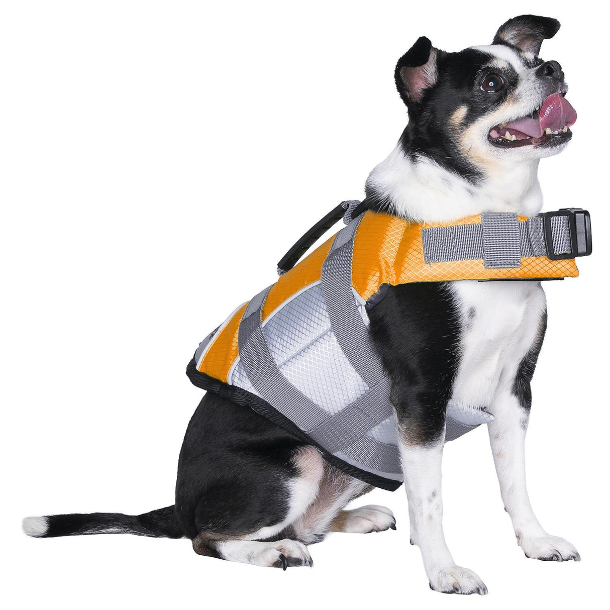Seachoice 86271 Dog Life Jacket, Color: Orange, Size: XS - image 4