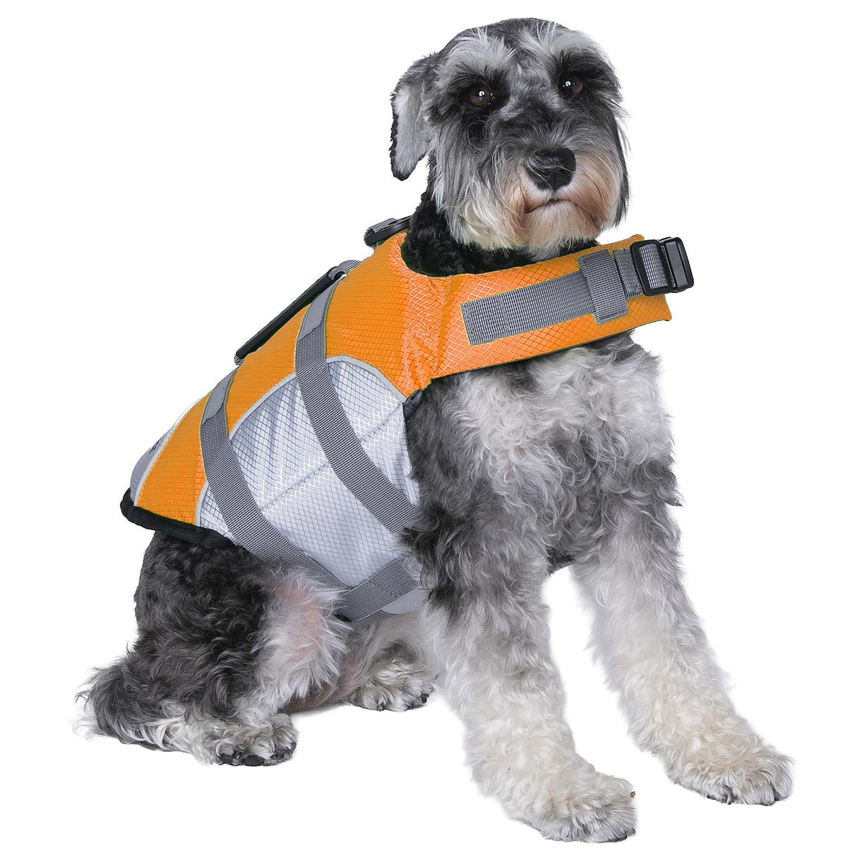 Seachoice 86272 Dog Life Jacket, Color: Orange, Size: S - image 5
