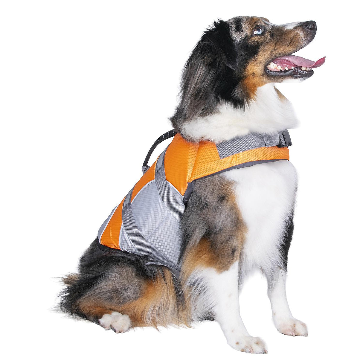 Seachoice 86274 Dog Life Jacket, Color: Orange, Size: L - image 2