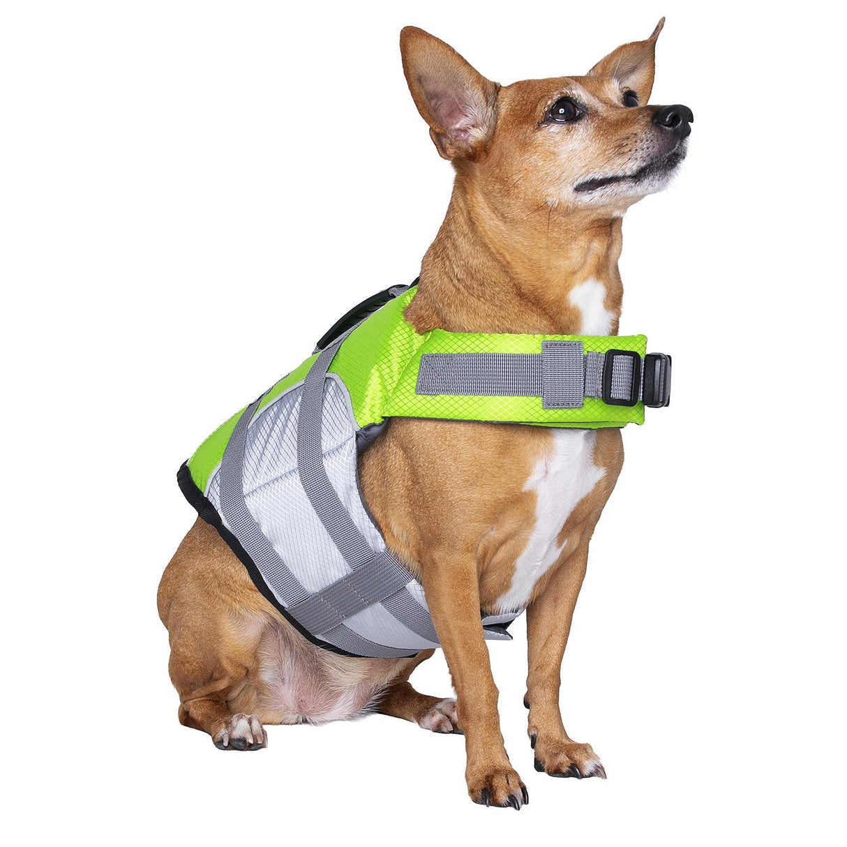 Seachoice 86282 Dog Life Jacket, Color: Green, Size: S - image 5