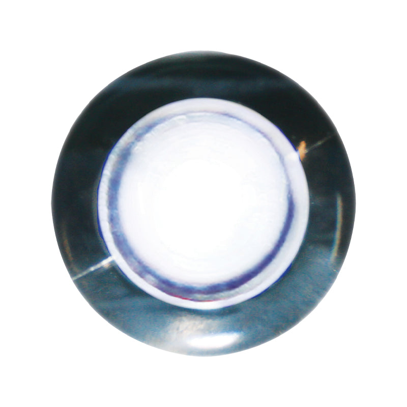 Seasense L.E.D. Frosted Livewell Light (Diameter 1-1/4", White L.E.D.s.) - 50030003 - image 2