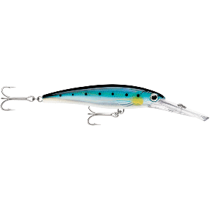 Rapala X-Rap® Magnum® 20 Sardine - XRMAG20BSRD