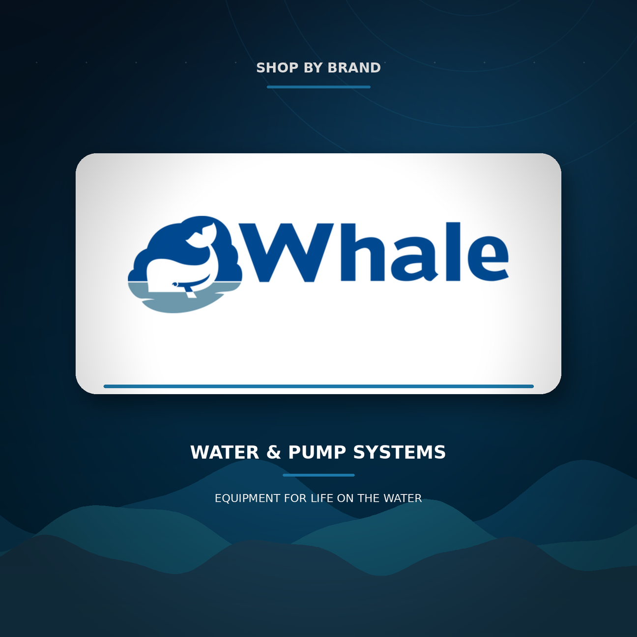 Whale