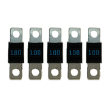 Victron Energy Victron MIDI-Fuse 100A/32V (Package of 5) - CIP132100010
