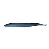 Berkley Gulp!&reg; Saltwater Sand Eel - 5" - Silver Mud - 1121693