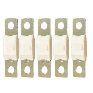 Victron Energy Victron MEGA Fuse 40A/80V (Package of 5 Pieces) - CIP138040020