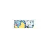 Lowrance C-Map MNAY200MS Discover Chart, North America - M-NA-Y200-MS - official Lowrance product image 3