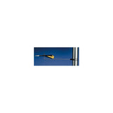 Davis Black Max Wind Direction Indicator [1295] - official Davis Instruments product image 3
