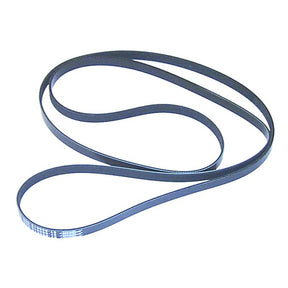 Sierra International Serpentine Belt - 18-15100 - image 1