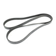 Sierra International Serpentine Belt - 18-15101 - image 1