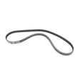 Sierra International Serpentine Belt - 18-15129 - image 1