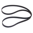 Sierra International Serpentine Belt - 18-18100 - image 1