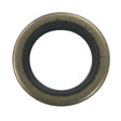 Sierra International Oil Seal - 18-2013 - image 1