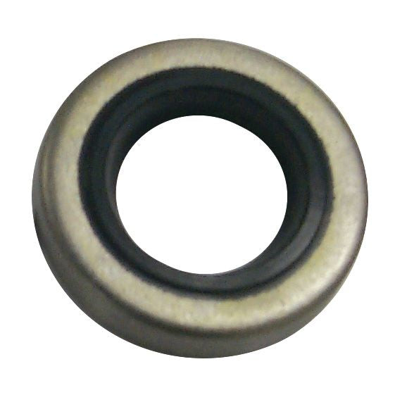 Sierra International Oil Seal - 18-2029 - image 1
