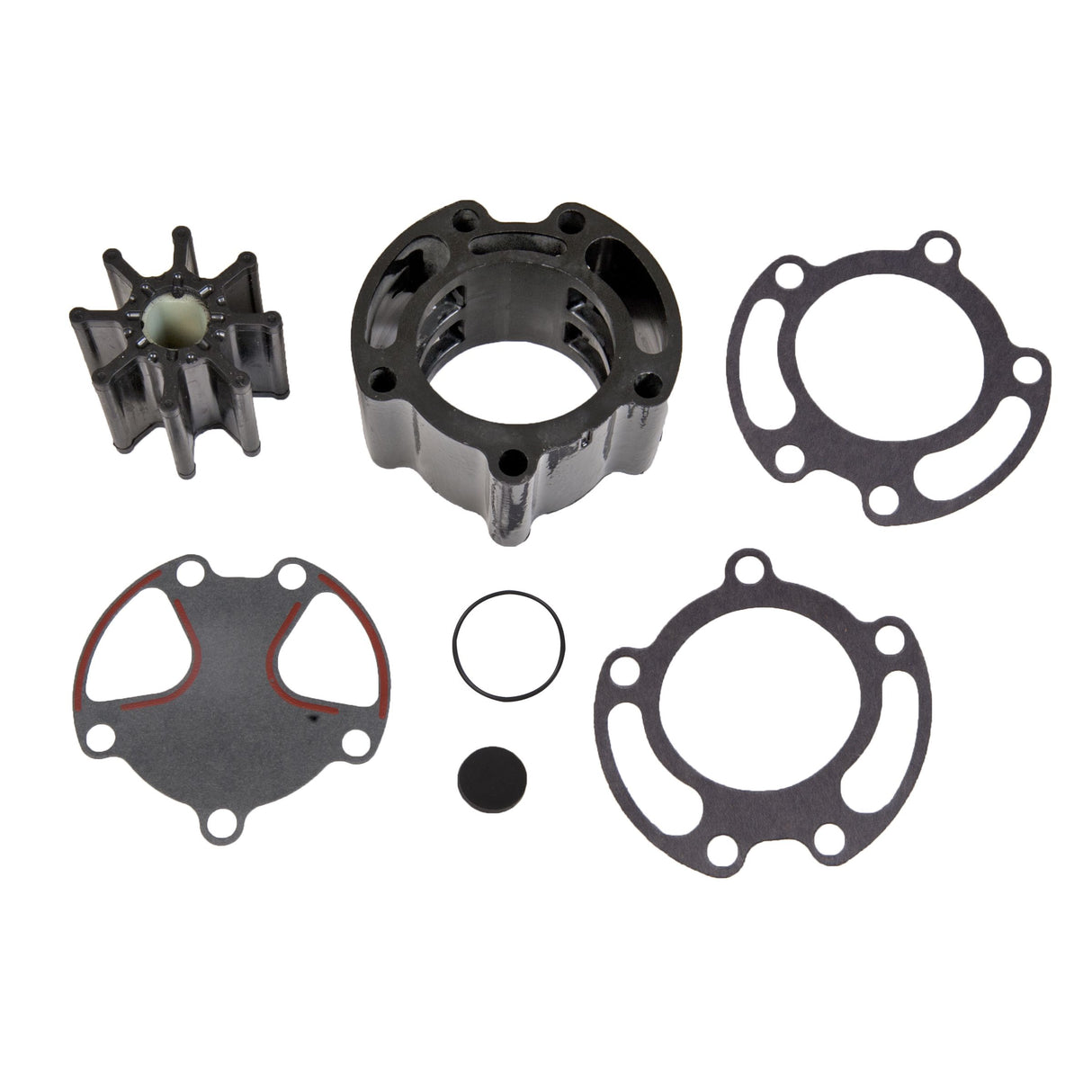 Sierra International Water Pump Repair Kit - 18-3155 - image 1