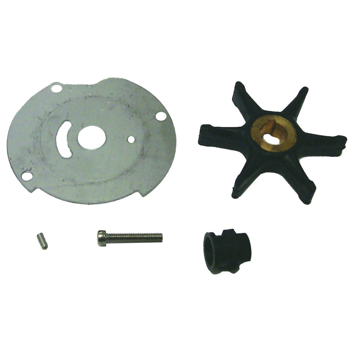 Sierra International Water Pump Kit - 18-3377 - image 1