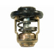 Sierra International Thermostat - 18-3541 - image 1