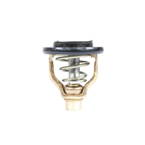 Sierra International Thermostat - 18-3634 - image 1