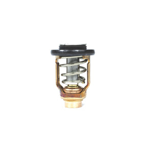 Sierra International Thermostat - 18-3637 - image 1