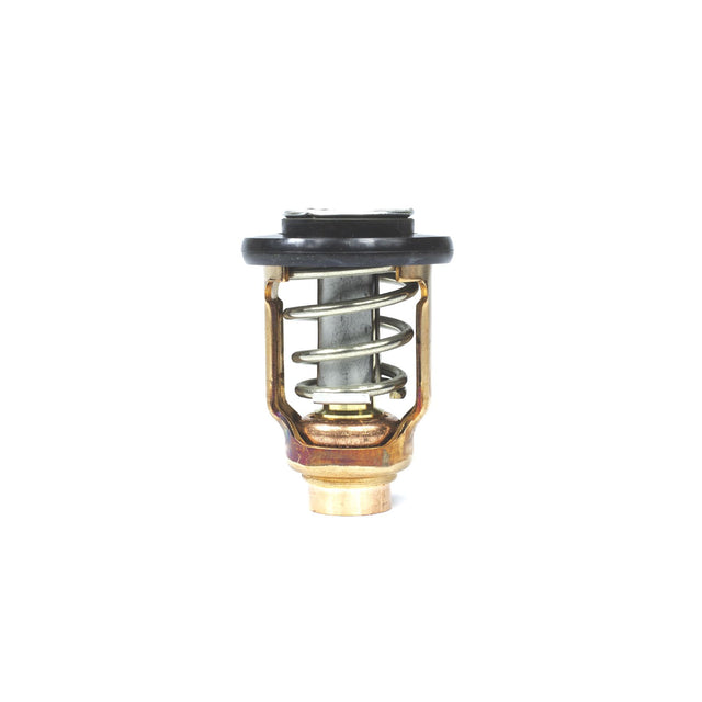 Sierra International Thermostat - 18-3637 - image 1
