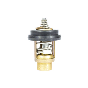 Sierra International Thermostat - 18-3638 - image 1
