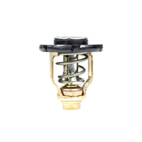 Sierra International Thermostat - 18-3639 - image 1