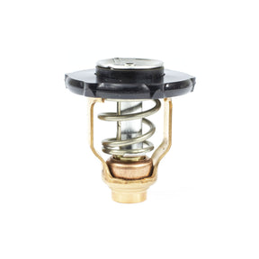 Sierra International Thermostat - 18-3641 - image 1