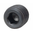 Sierra International Pipe Plug - 18-4257 - image 1