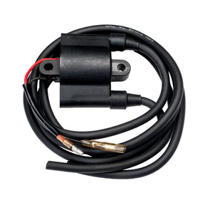 Sierra International Ignition Coil - 18-5129 - image 1