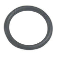 Sierra International O-Ring - 18-7117 - image 1