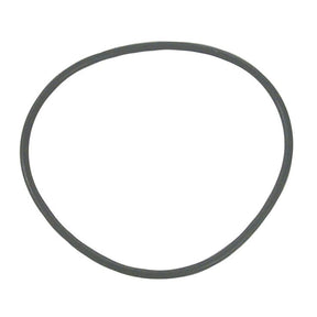 Sierra International O-Ring - 18-7184 - image 1