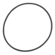 Sierra International O-Ring - 18-7186 - image 1
