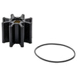 Sierra International Impeller Kit (18-3016) - 18-3016-1 - image 1
