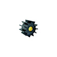 Johnson Pump IMPELLER F8B NITRILE - 09-819B-9 - image 1